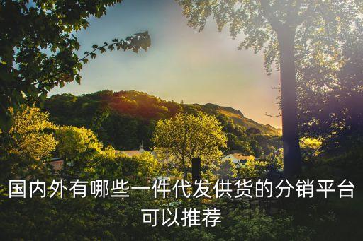 一件代發(fā)的貨源app，一件代發(fā)的軟件哪個好