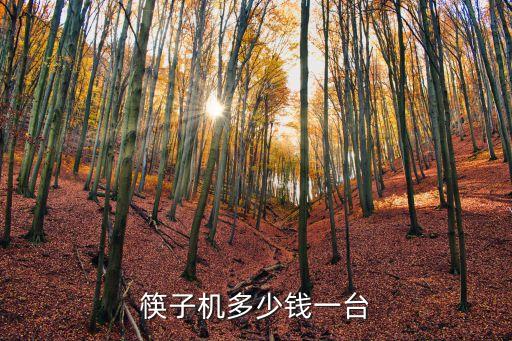 筷子機多少錢一臺
