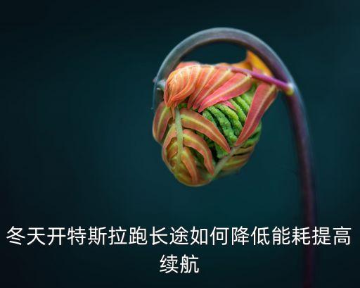 特斯拉長續(xù)航跑長途，冬天開特斯拉跑長途如何降低能耗提高續(xù)航