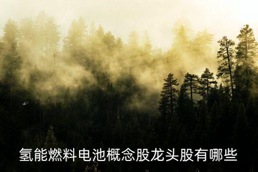 氫能燃料電池概念股龍頭股有哪些