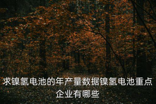 最有潛力的電池公司，最具發(fā)展前景的動力電池