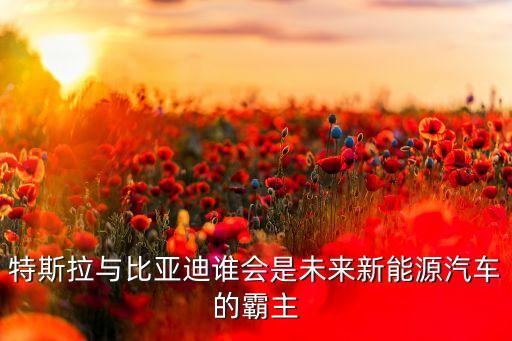 特斯拉與比亞迪誰會是未來新能源汽車的霸主