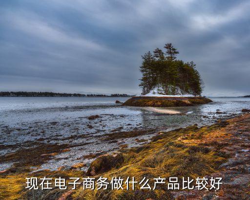 電商賣什么產(chǎn)品好，現(xiàn)在電子商務(wù)做什么產(chǎn)品比較好