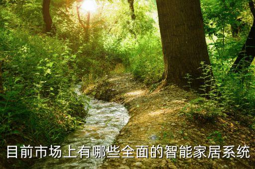全屋智能化系統(tǒng)有哪些，目前市場(chǎng)上有哪些全面的智能家居系統(tǒng)