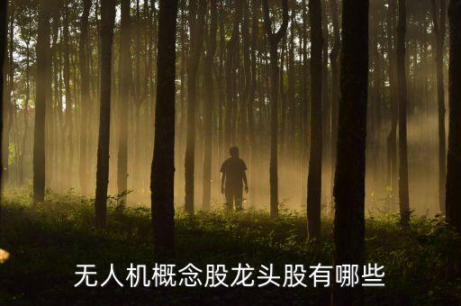 無人機板塊的股票有哪些，無人機概念股有哪些