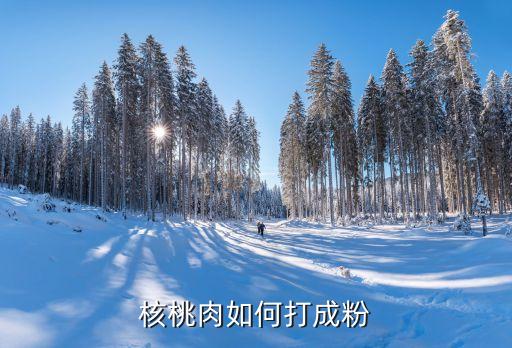 核桃肉如何打成粉