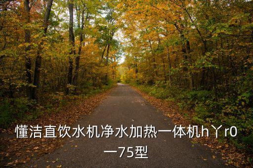 懂潔直飲水機凈水加熱一體機h丫r0一75型