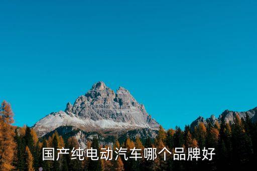 國(guó)產(chǎn)純電動(dòng)汽車哪個(gè)品牌好
