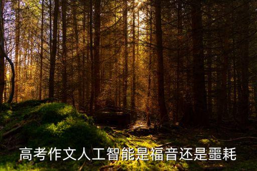關(guān)于人工智能的議論文800字，高考作文人工智能是福音還是噩耗