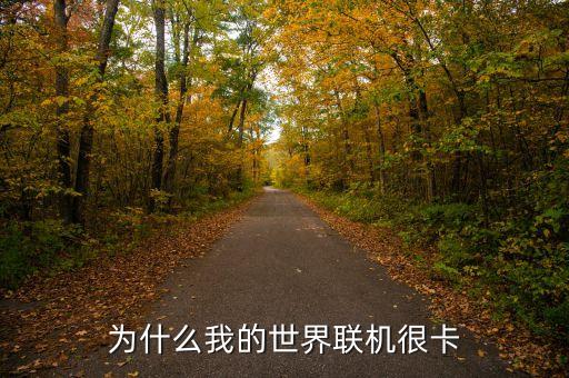我的世界網(wǎng)絡(luò)卡，為什么我的世界聯(lián)機(jī)很卡