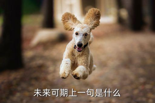 賦能未來上一句是什么，未來可期上一句是什么