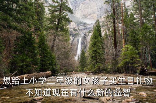 想給上小學(xué)二年級(jí)的女孩子買生日禮物不知道現(xiàn)在有什么新的益智