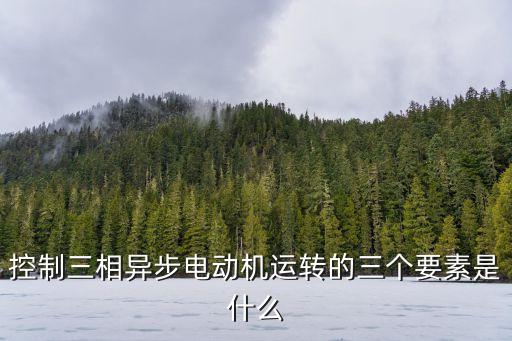 控制三相異步電動(dòng)機(jī)運(yùn)轉(zhuǎn)的三個(gè)要素是什么