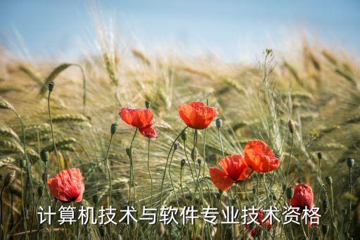 計算機技術(shù)與軟件專業(yè)技術(shù)資格，計算機技術(shù)與軟件專業(yè)技術(shù)資格