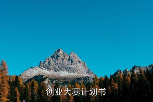 創(chuàng)業(yè)大賽計劃書