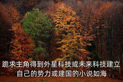 跪求主角得到外星科技或未來科技建立自己的勢力或建國的小說如海