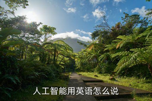 人工智能用英語怎么說