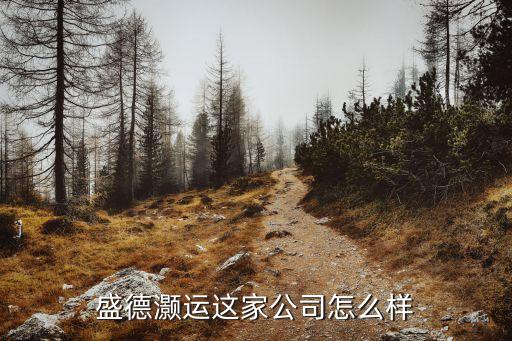 盛德灝運這家公司怎么樣