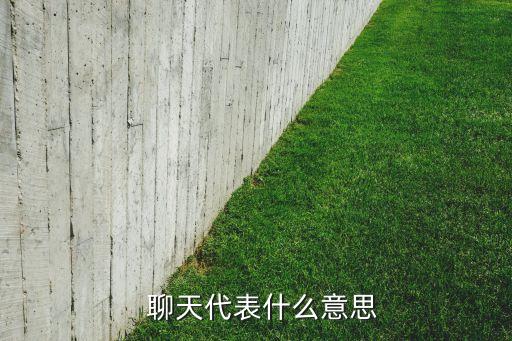   聊天代表什么意思