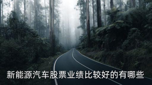 新能源汽車股票業(yè)績(jī)比較好的有哪些