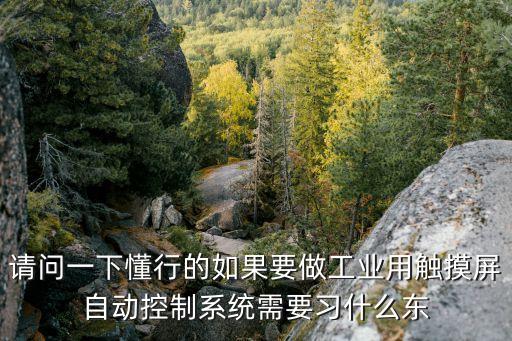 請問一下懂行的如果要做工業(yè)用觸摸屏自動控制系統(tǒng)需要習(xí)什么東