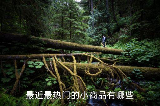 最近最熱門的小商品有哪些