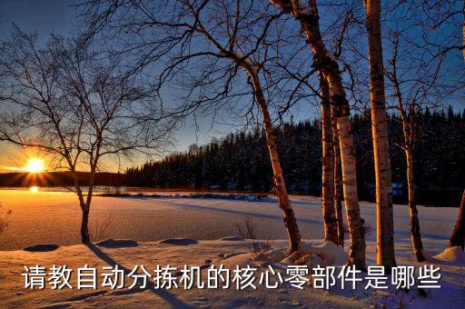 請(qǐng)教自動(dòng)分揀機(jī)的核心零部件是哪些