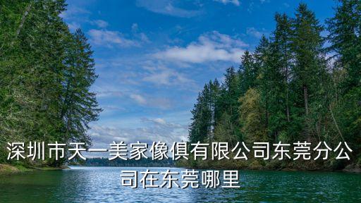 深圳市天一美家像俱有限公司東莞分公司在東莞哪里