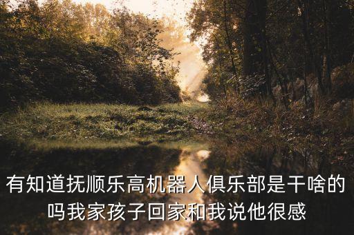 有知道撫順樂高機(jī)器人俱樂部是干啥的嗎我家孩子回家和我說他很感