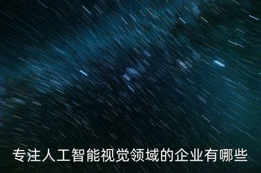 專注人工智能視覺領(lǐng)域的企業(yè)有哪些