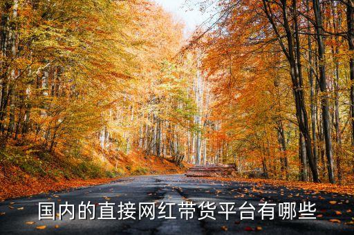 國內(nèi)的直接網(wǎng)紅帶貨平臺有哪些