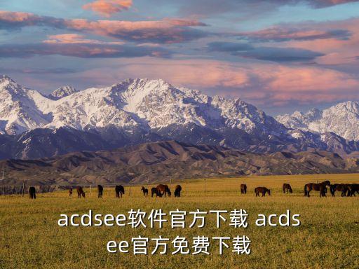 acdsee軟件官方下載 acdsee官方免費(fèi)下載