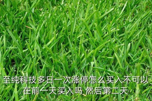 至純科技是什么龍頭，至純科技多日一次漲停怎么買(mǎi)入不可以在前一天買(mǎi)入嗎 然后第二天