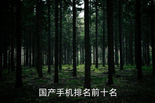 國產(chǎn)手機(jī)排名前十名