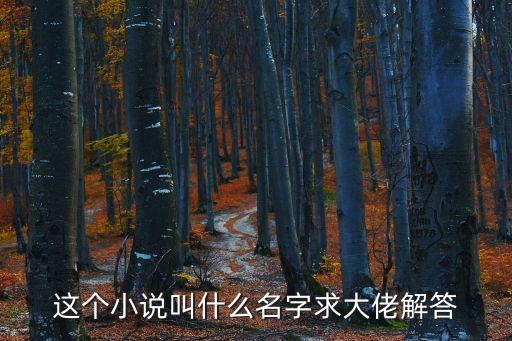 這個(gè)小說叫什么名字求大佬解答