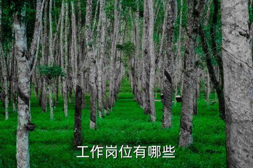 工作崗位有哪些