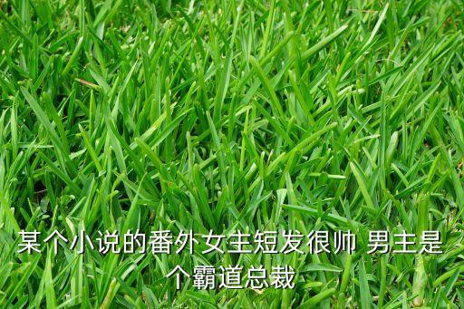 某個(gè)小說的番外女主短發(fā)很帥 男主是個(gè)霸道總裁