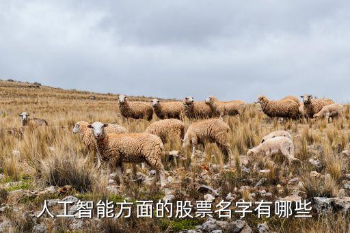 機(jī)器人股票十大股東，人工智能方面的股票名字有哪些