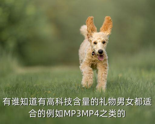 十大送人的高科技小禮品圖片，最近靈感突然想到幾款小禮物設計送人最合適了有沒有些設計活