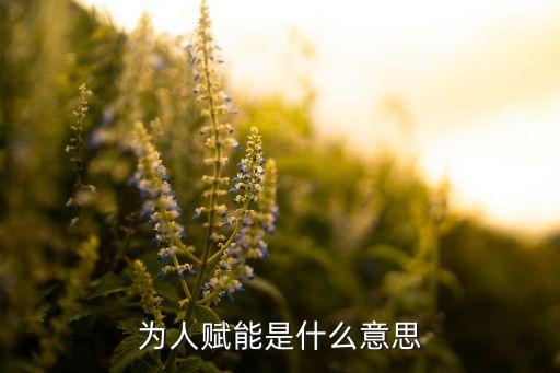 為人賦能是什么意思