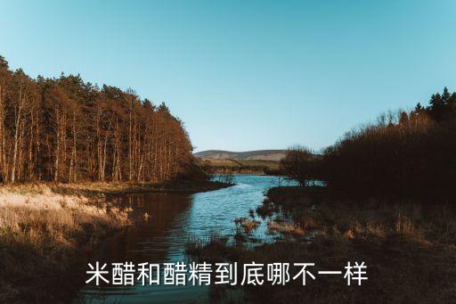 米醋和醋精到底哪不一樣