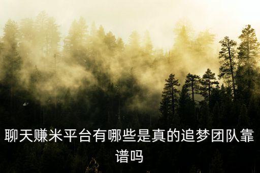 聊天賺米平臺(tái)有哪些是真的追夢(mèng)團(tuán)隊(duì)靠譜嗎