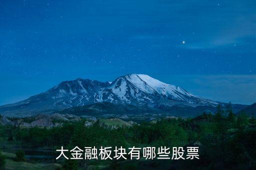 大金融板塊有哪些股票