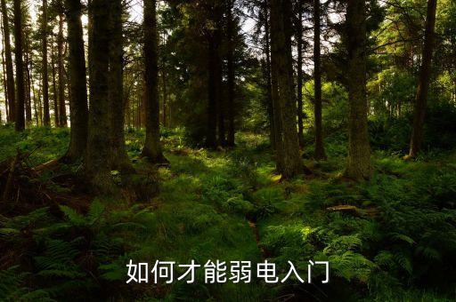 如何才能弱電入門
