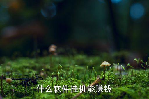 自動(dòng)掛機(jī)賺錢(qián)工具，有沒(méi)有手機(jī)掛機(jī)賺錢(qián)的軟件手動(dòng)自動(dòng)都行