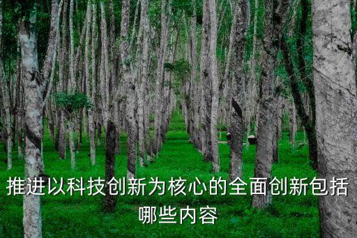 推進以科技創(chuàng)新為核心的全面創(chuàng)新包括哪些內(nèi)容