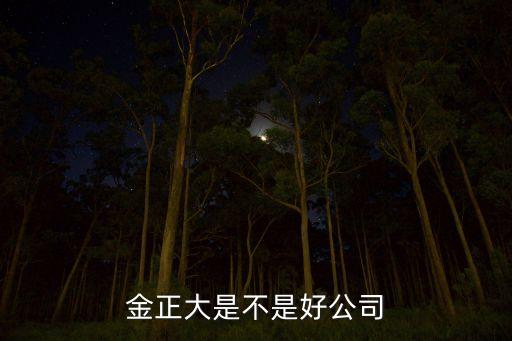 金正大是不是好公司