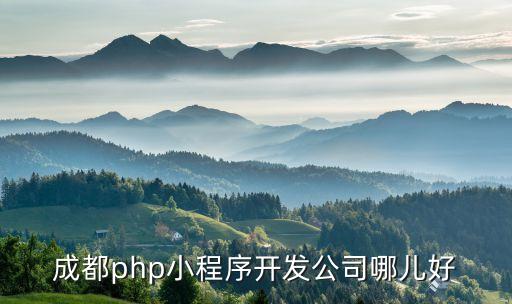 成都php小程序開發(fā)公司哪兒好