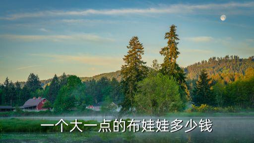 棉花娃娃多少錢一個，一個大一點的布娃娃多少錢