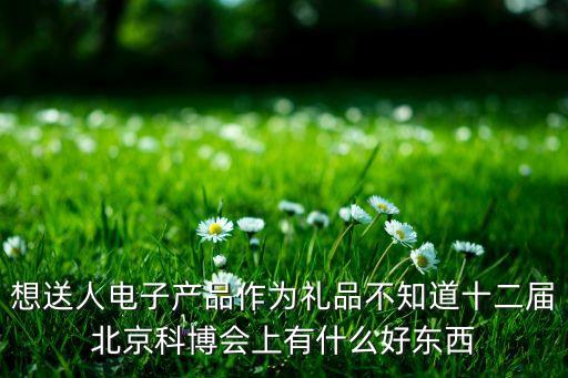 想送人電子產(chǎn)品作為禮品不知道十二屆北京科博會上有什么好東西